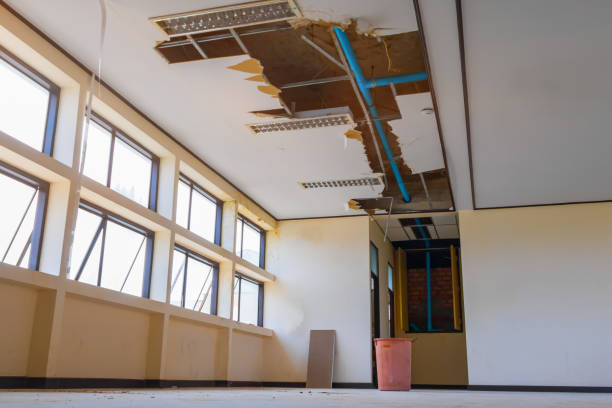 Best Ceiling water damage repair  in Erie, PA