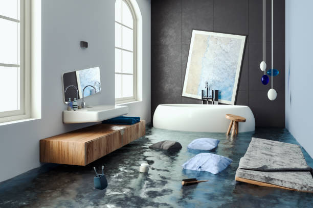 Best Professional water damage repair  in Erie, PA