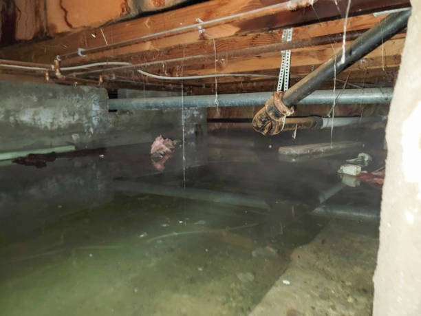 Sewage cleanup and water damage restoration in Erie, PA